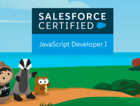 Salesforce JavaScript developer 1