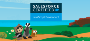 Salesforce JavaScript developer 1