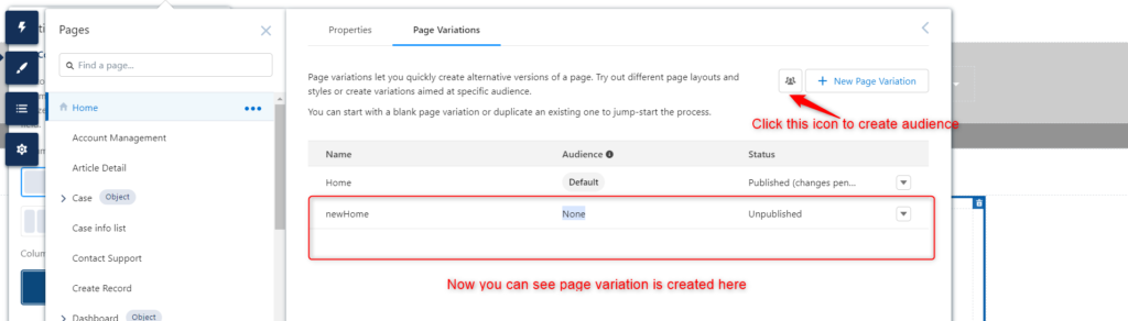 salesforce  - audience creation