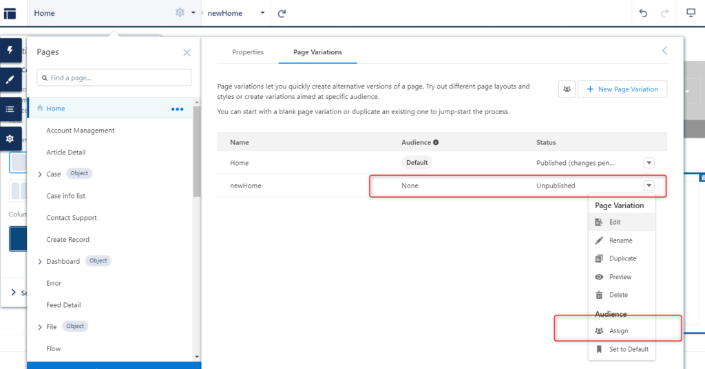 salesforce  - set audience 